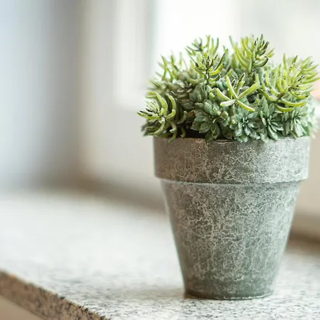 Fineapartment Gæstehus