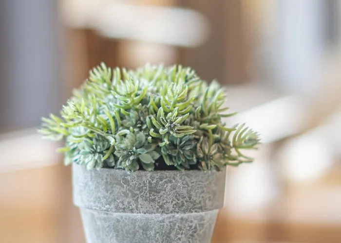 Fineapartment Maison d'hôtes 3*